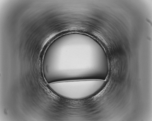 X0000095521021200712140904