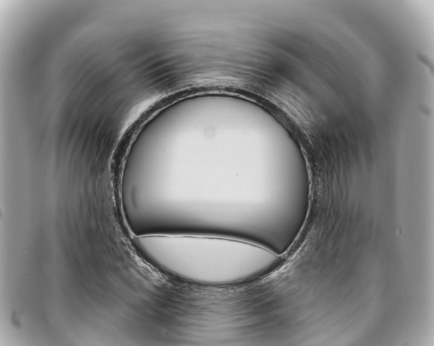 X0000095521022200712140904