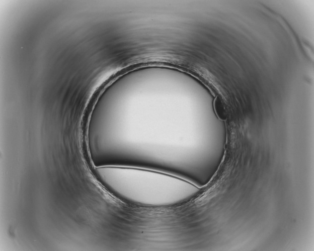 X0000095521024200712140904