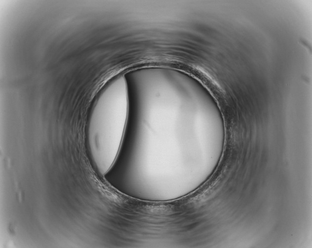 X0000095521025200712140904