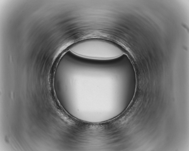 X0000095521026200712140904