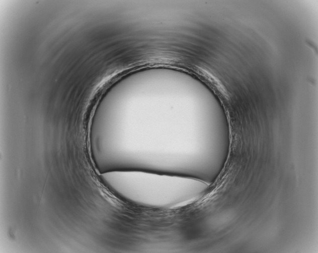 X0000095521027200712140905