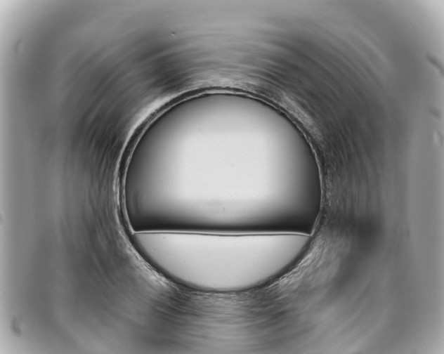 X0000095521028200712140905