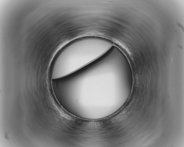 X0000095521029200712140905