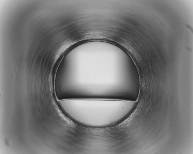 X0000095521030200712140905