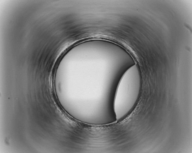 X0000095521032200712140905