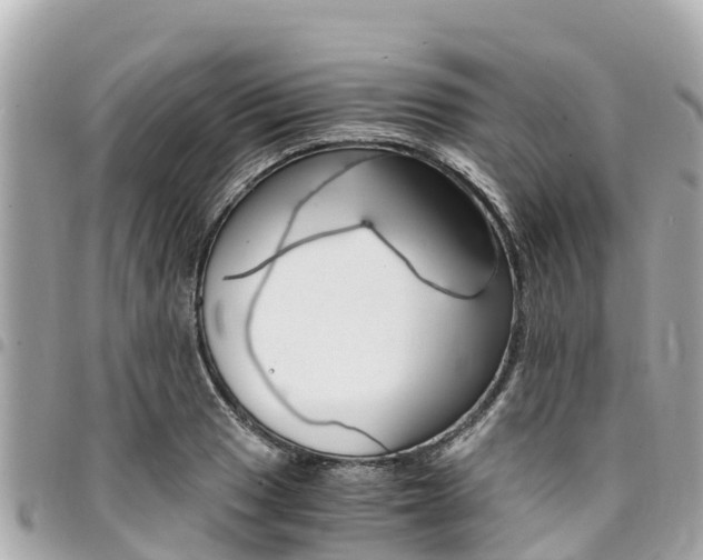 X0000095521033200712140905