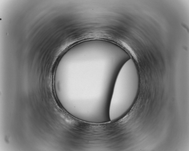 X0000095521035200712140905