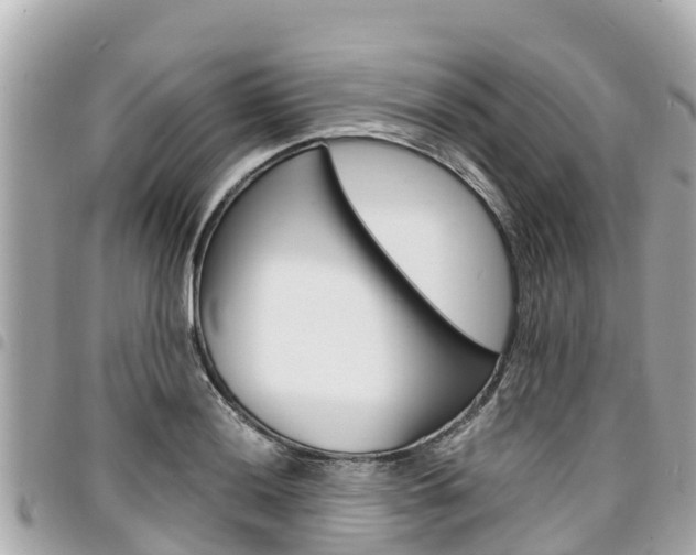 X0000095521036200712140905