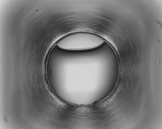 X0000095521037200712140905