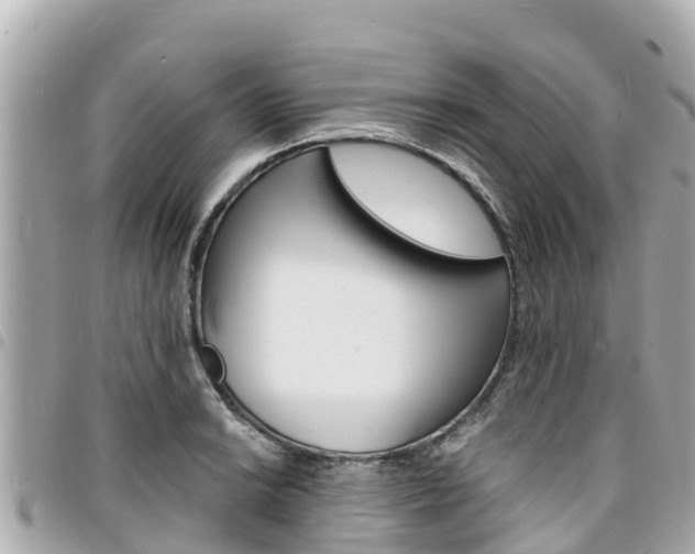 X0000095521038200712140905
