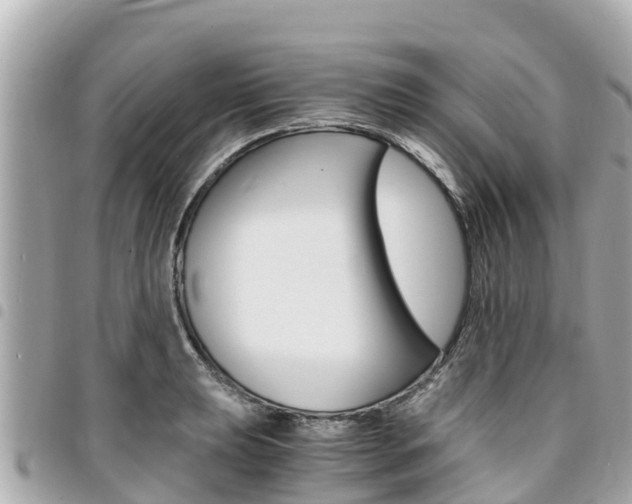 X0000095521039200712140905