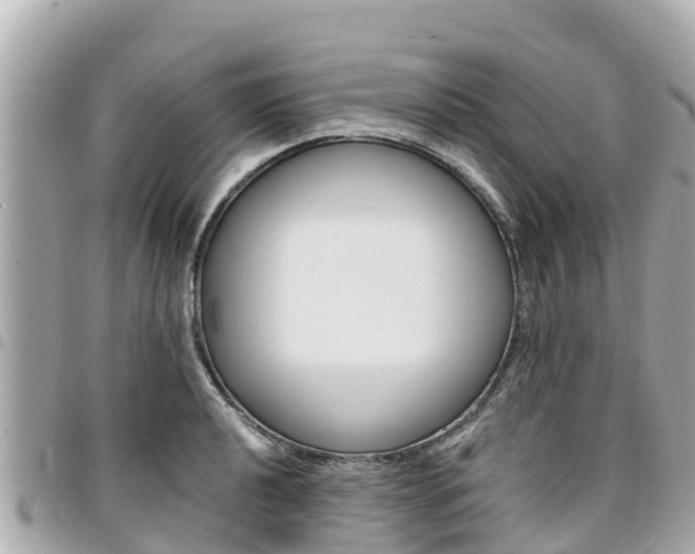 X0000095521040200712140905