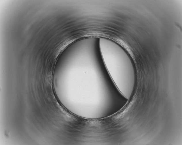 X0000095521041200712140905