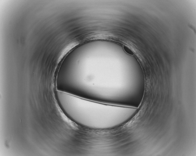 X0000095521042200712140905