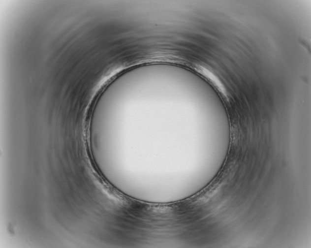 X0000095521043200712140905