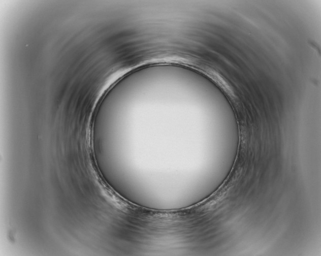 X0000095521044200712140905