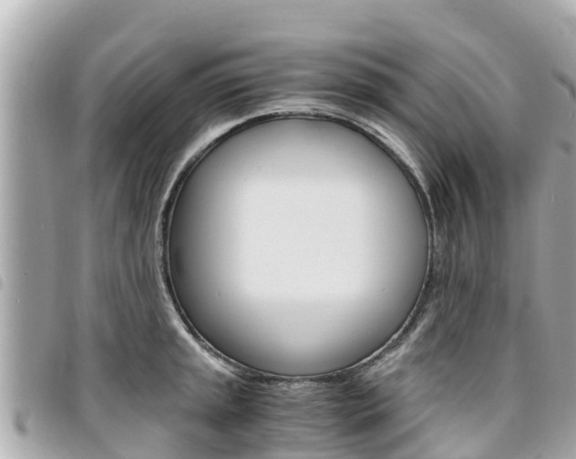 X0000095521045200712140905