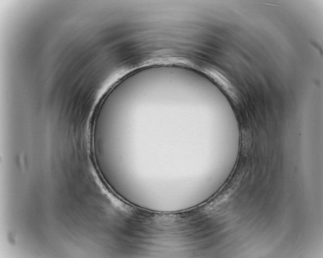 X0000095521046200712140905