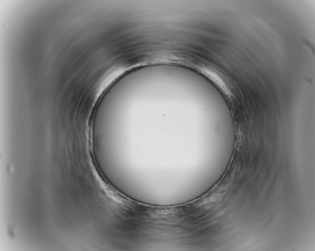 X0000095521047200712140905