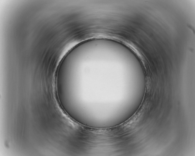 X0000095521048200712140905