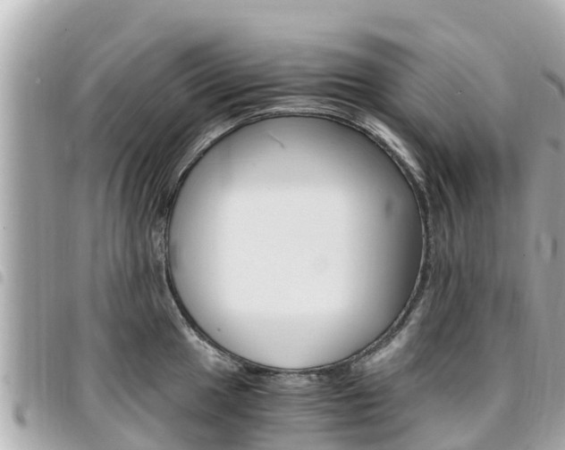 X0000095521049200712140905