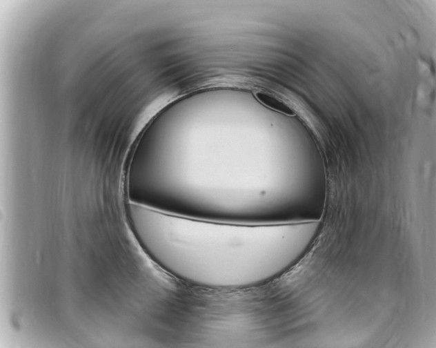 X0000095521050200712140905