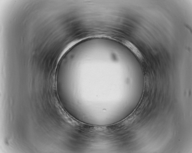 X0000095521052200712140905