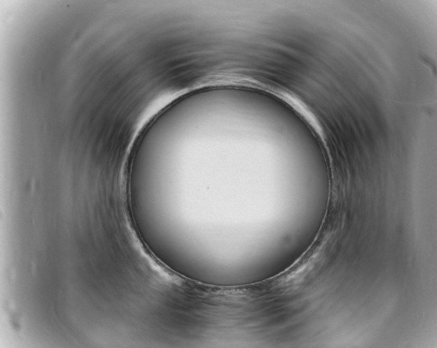 X0000095521053200712140905