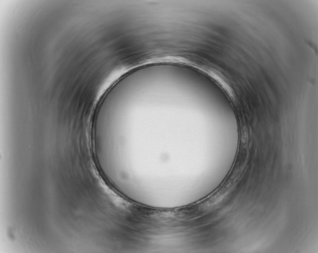 X0000095521054200712140905