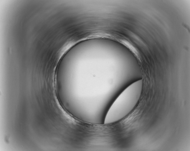 X0000095521055200712140905