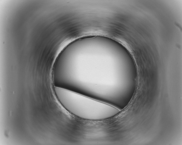 X0000095521056200712140905