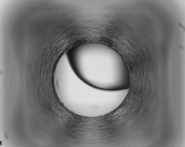 X0000095521057200712140904