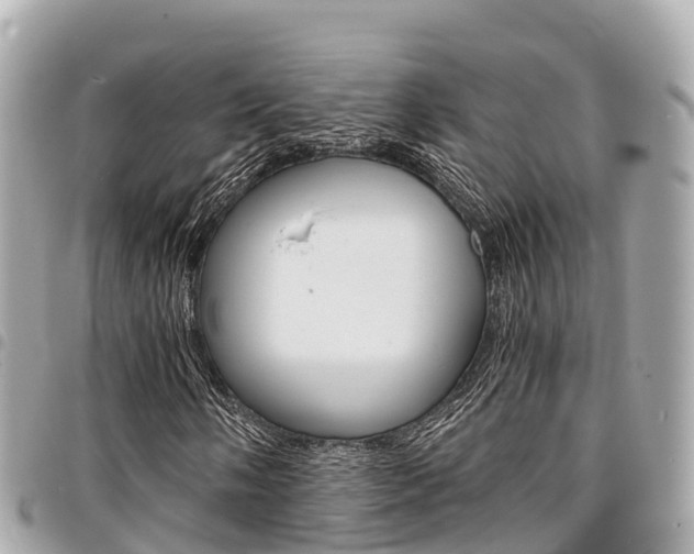 X0000095521058200712140904