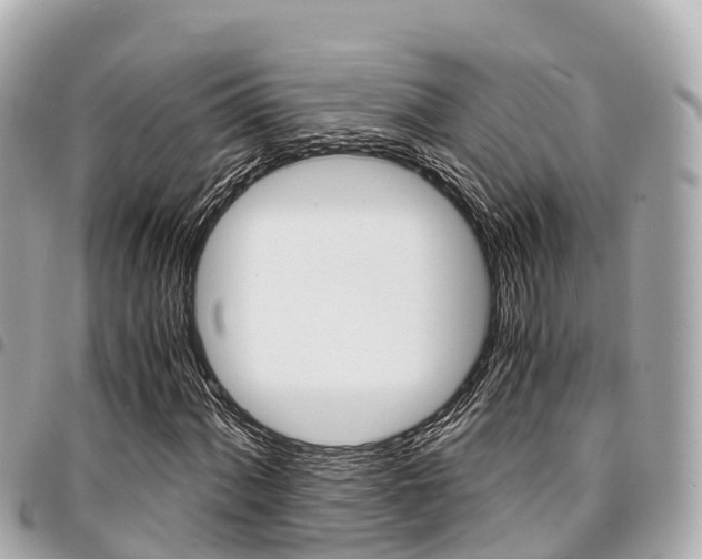 X0000095521060200712140904