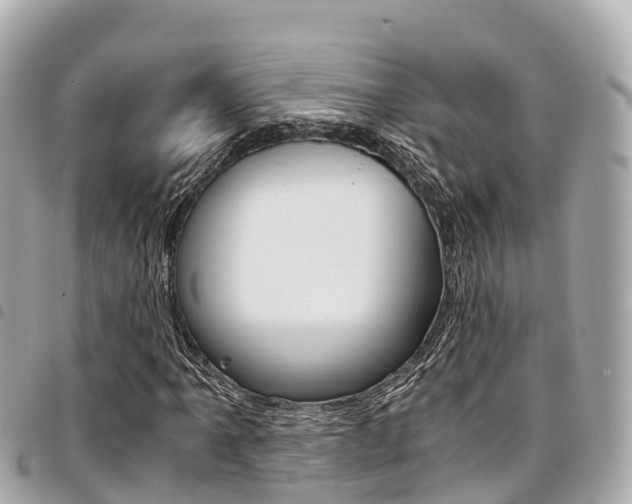X0000095521061200712140904