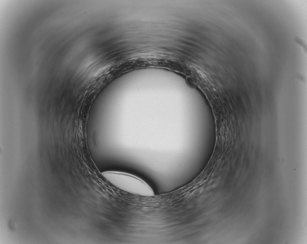 X0000095521062200712140904