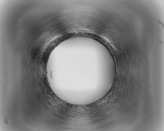 X0000095521063200712140904