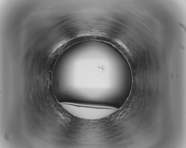 X0000095521064200712140904