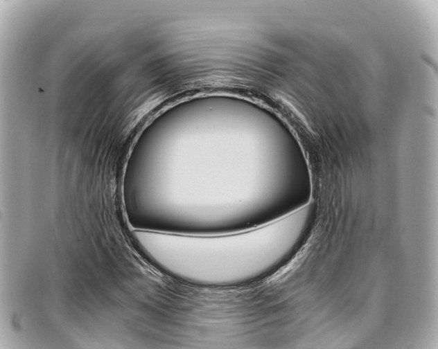 X0000095521065200712140904