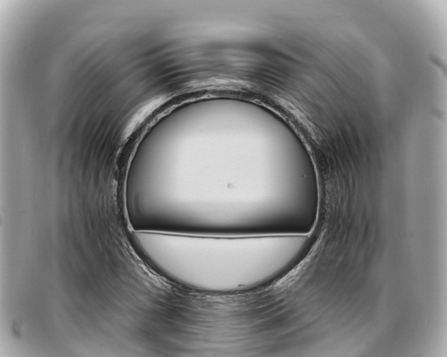 X0000095521066200712140904