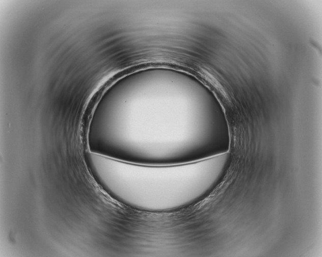 X0000095521068200712140904