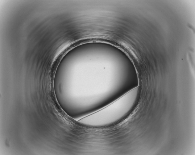 X0000095521069200712140904