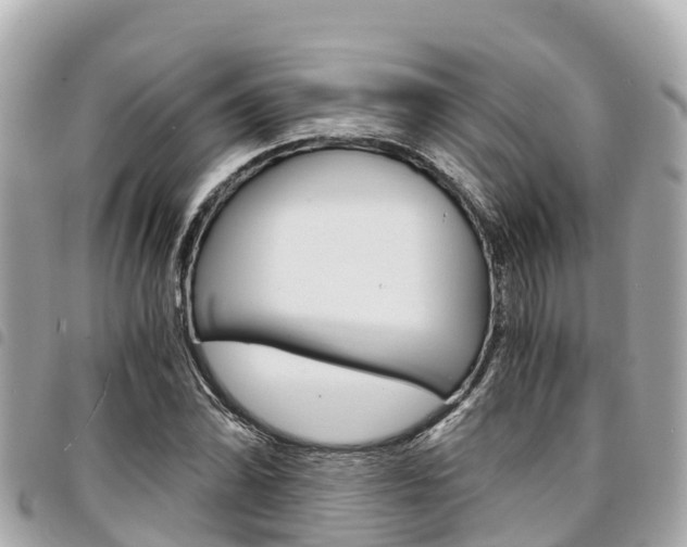 X0000095521070200712140904