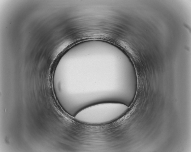 X0000095521071200712140904