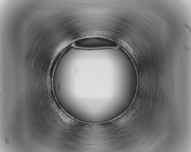 X0000095521072200712140904
