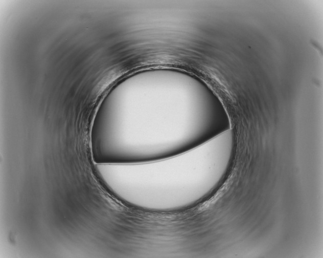 X0000095521073200712140904