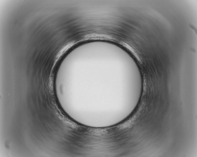 X0000095521074200712140904