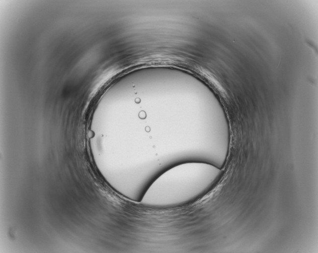 X0000095521075200712140904