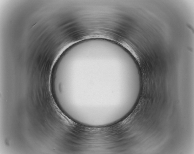 X0000095521076200712140904